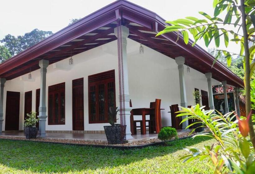 بنسيون Virgin Forest Inn