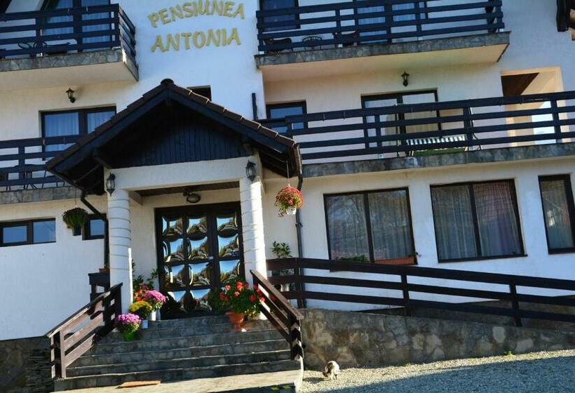 Pensiunea Antonia