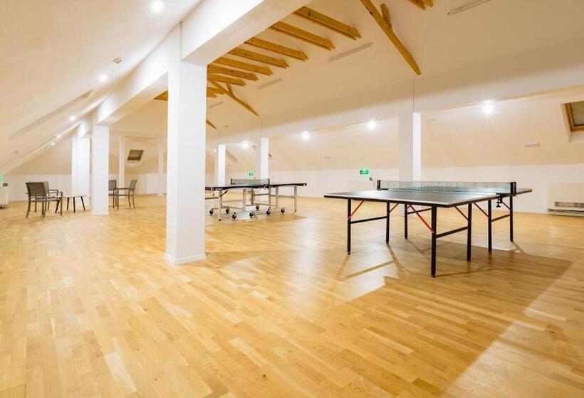 Pensiunea Salina Gymnasium