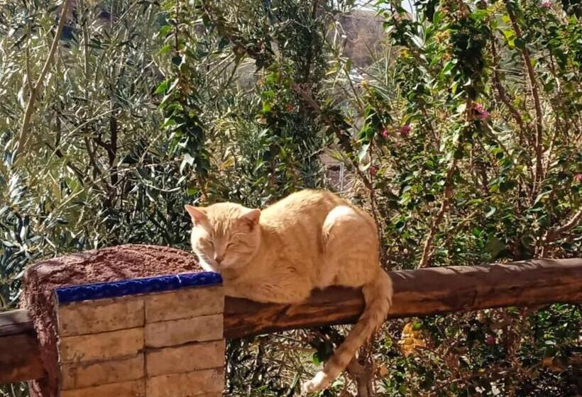 Bed and Breakfast Abla Room