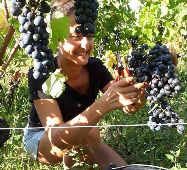 민박 Domaine Jacqueline Père & Filles