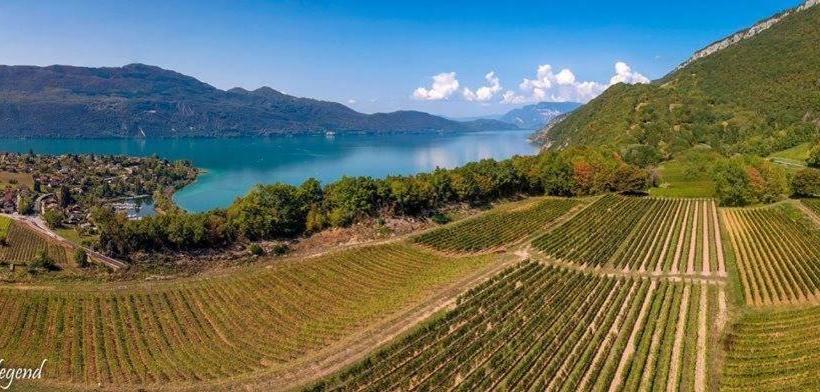 민박 Domaine Jacqueline Père & Filles