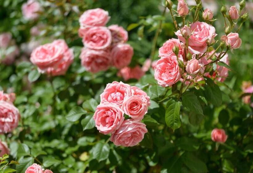 민박 La Closerie Saint Vincent, Chambres D Hôtes Amboise