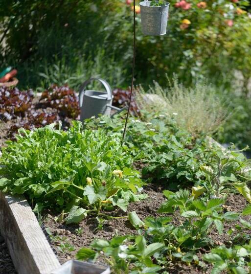 민박 La Closerie Saint Vincent, Chambres D Hôtes Amboise