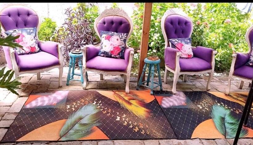 住宿加早餐  Shalom_matsofy