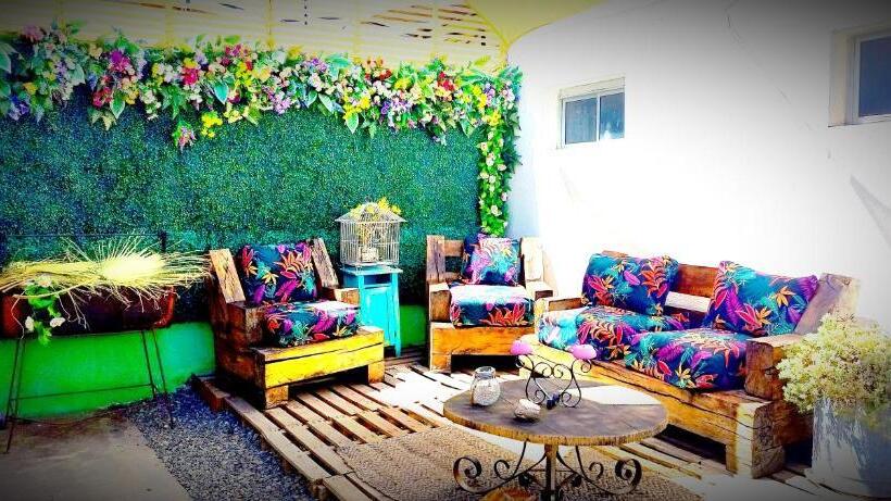 住宿加早餐  Shalom_matsofy