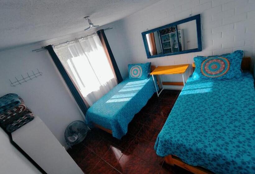 住宿加早餐  Shalom_matsofy