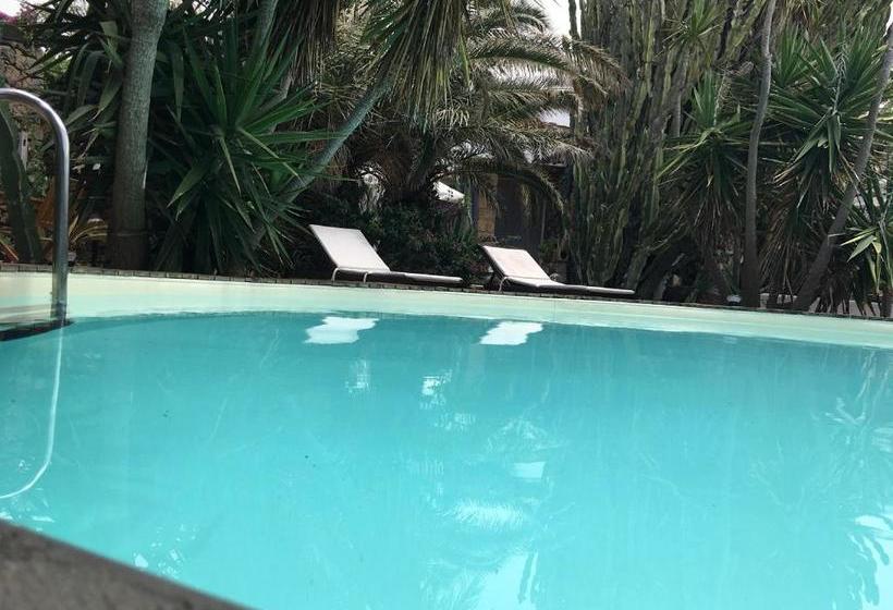 Cactus B&b Le Casette Di Marilena