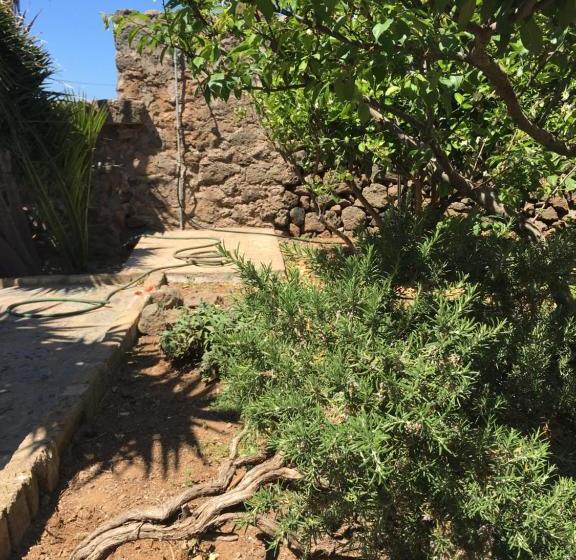 Cactus B&b Le Casette Di Marilena