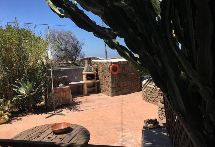 Cactus B&b Le Casette Di Marilena