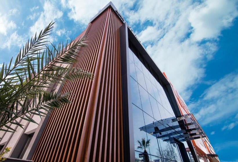 Dovv Hotel Busıness