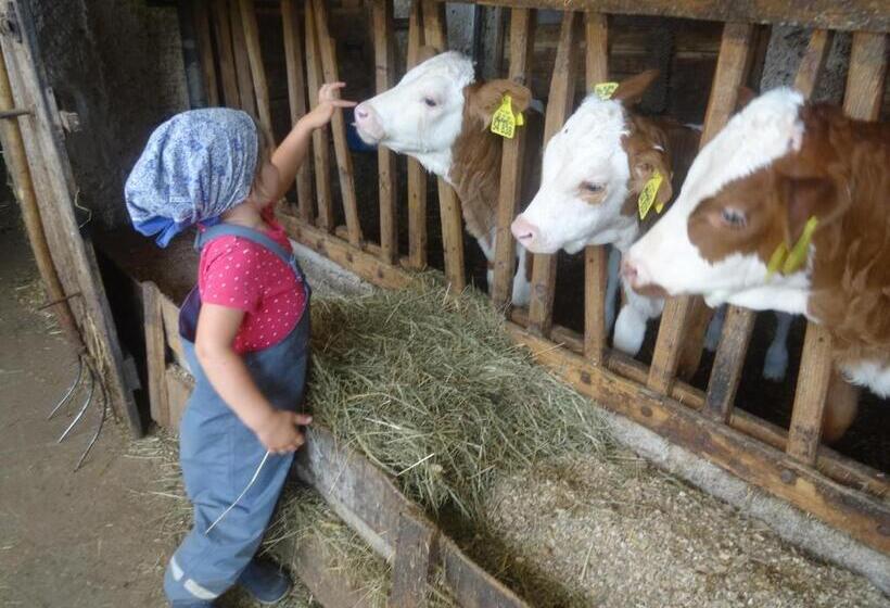 호텔 Bachtelhuber Hof