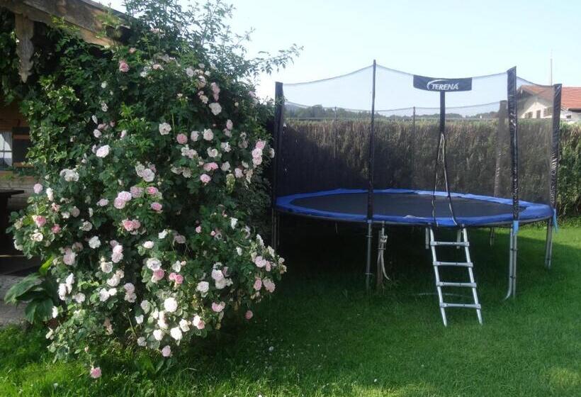 호텔 Bachtelhuber Hof