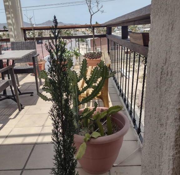 Bajalife Hotel Boutique