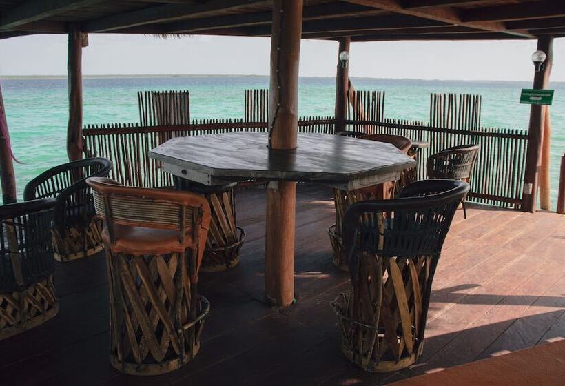 בית מלון כפרי Boutique Aurea