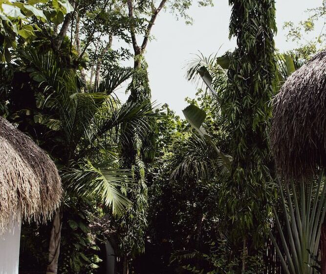 בית מלון כפרי Boutique Aurea