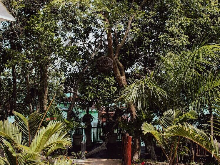 בית מלון כפרי Boutique Aurea