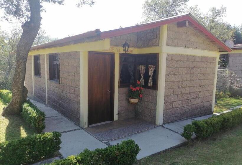 酒店 Casa Manning Y Salón La Troje By Rotamundos