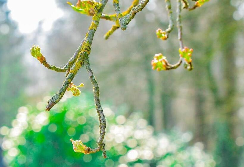 فندق De Grote Zwaan