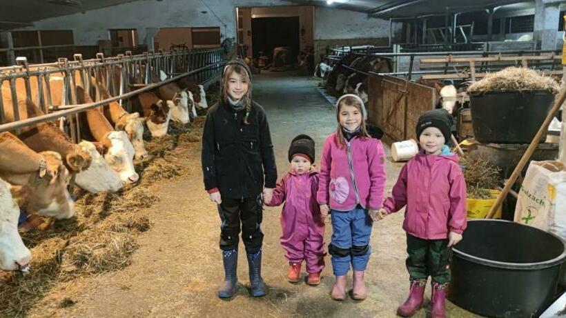 호텔 Fuchsbauernhof