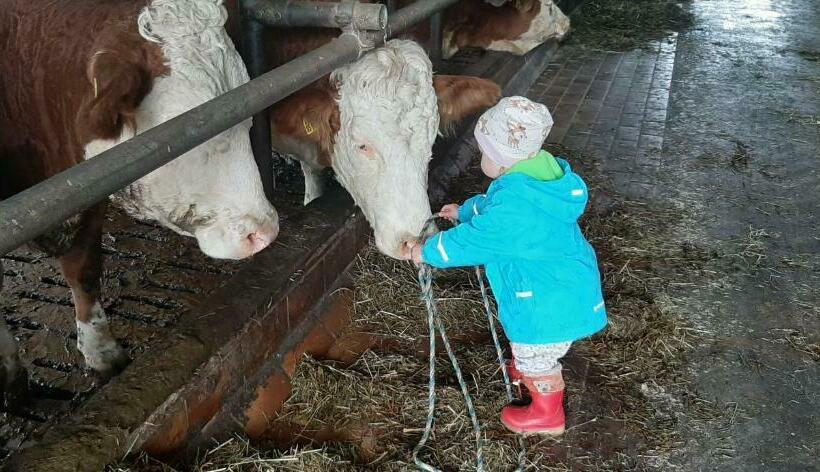 호텔 Fuchsbauernhof