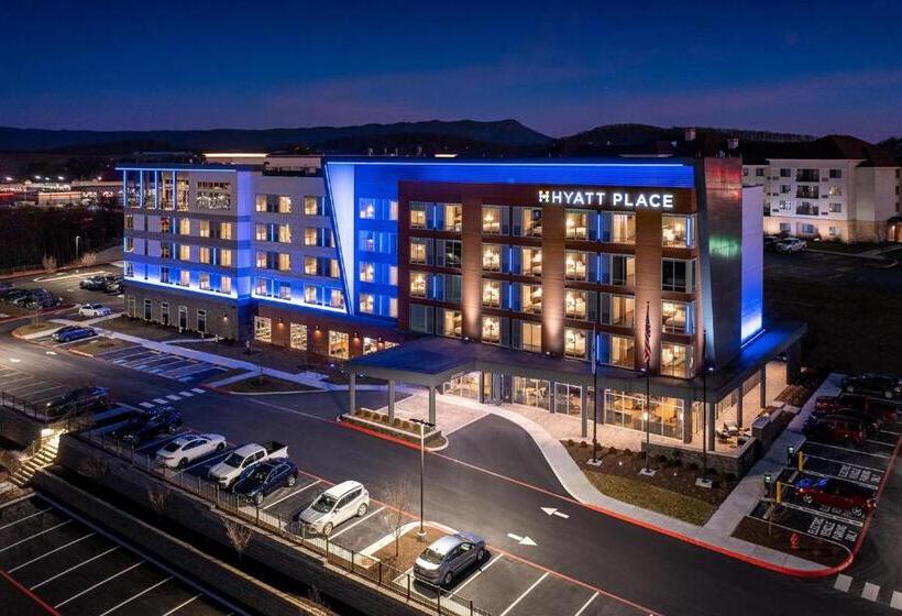 酒店 Hyatt Place Harrisonburg