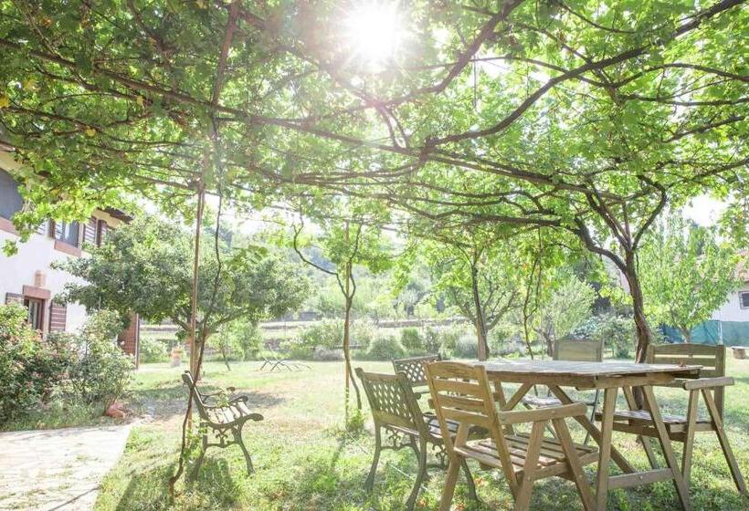 בית מלון כפרי Le Ali Del Falco