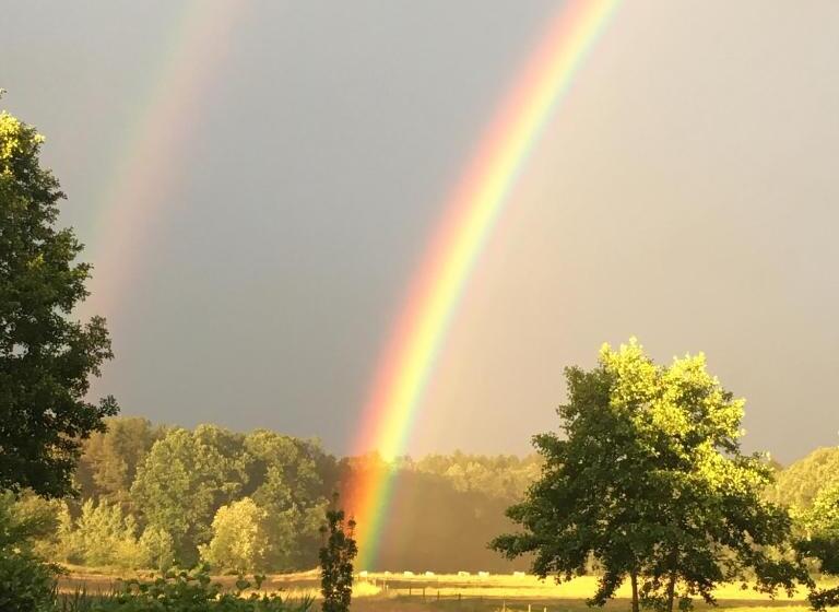 Lindengut Biohotel & Bio Herberge