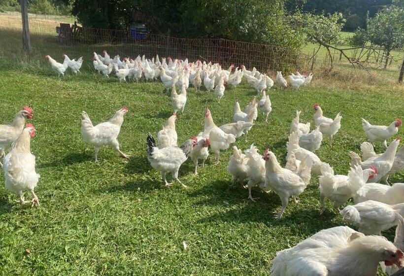 Lindengut Biohotel & Bio Herberge