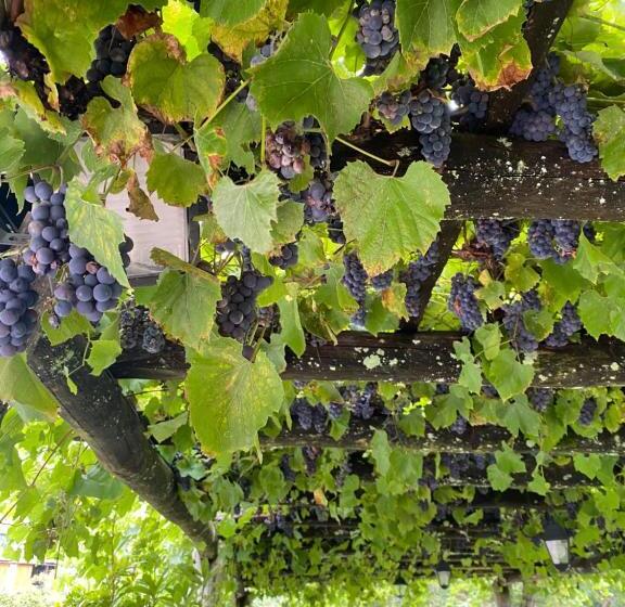 בית מלון כפרי Osteria Vittoria