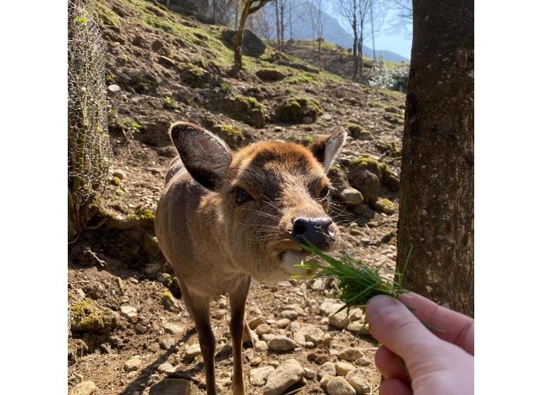 בית מלון כפרי Osteria Vittoria