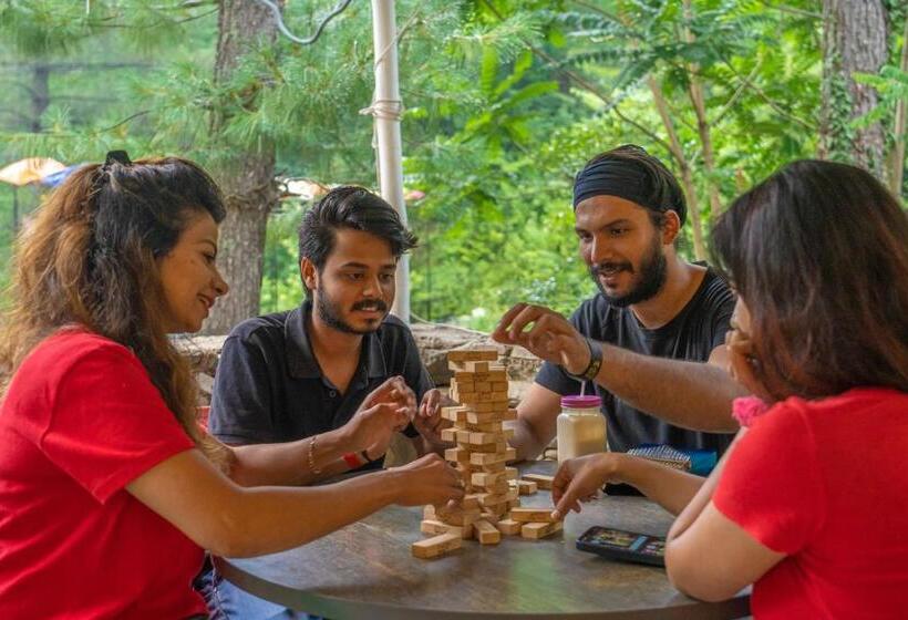 酒店 Whoopers Boutique Resort Jibhi