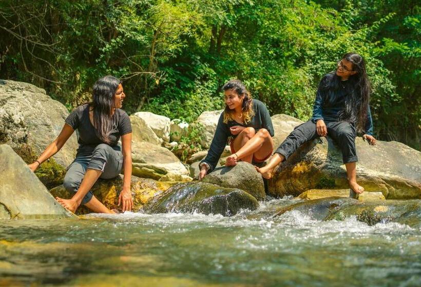 酒店 Whoopers Boutique Resort Jibhi