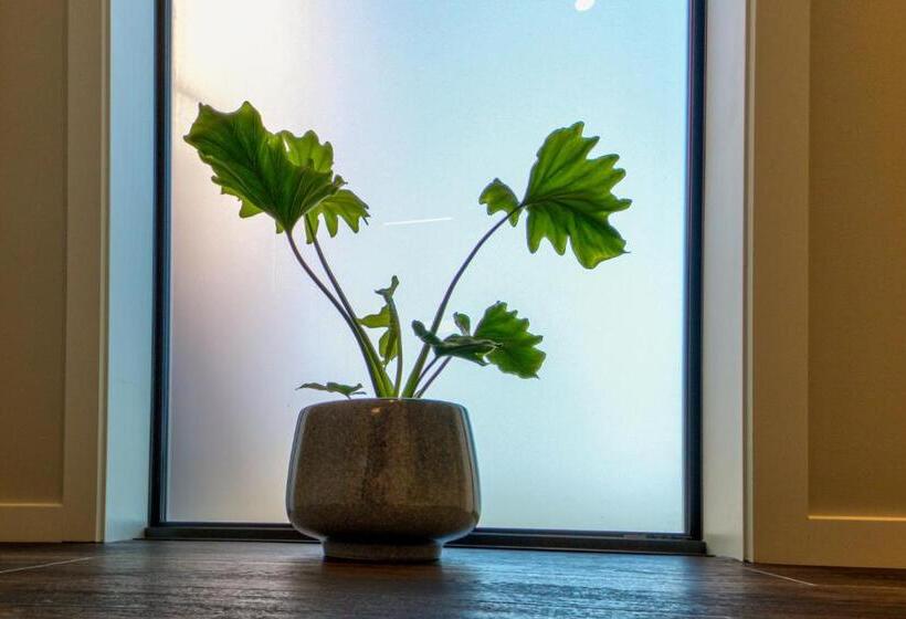 مُتل Annies On Milford