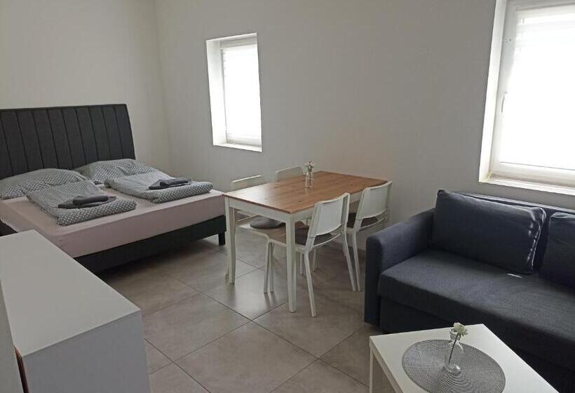 膳宿费 MUSIC PENZION v Lipně