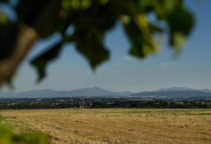 פנסיון Penzion V Poli