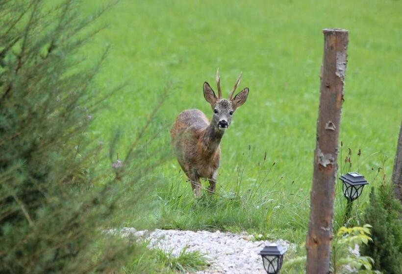 بنسيون Villa Bischofsberg   Lärchen Wellness Apartment