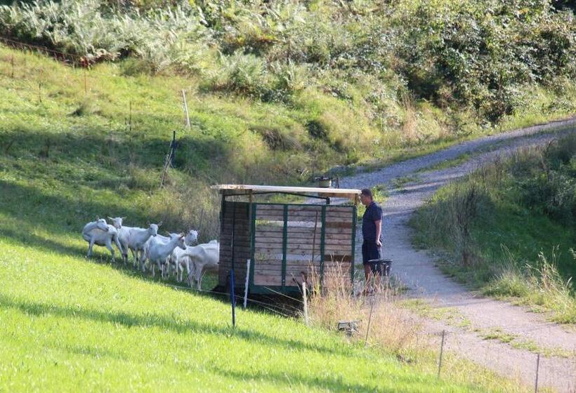 بنسيون Villa Bischofsberg   Lärchen Wellness Apartment