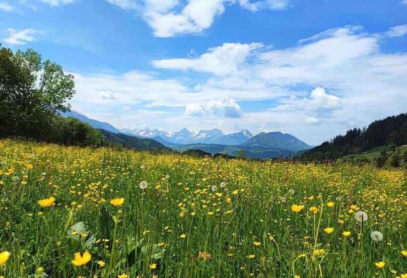 פנסיון Villa Bischofsberg   Lärchen Wellness Apartment
