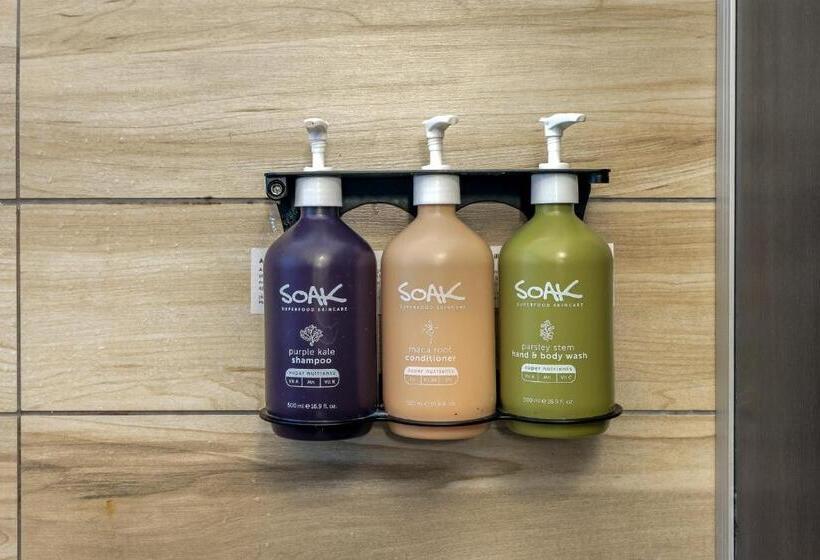 Tequila Sunrise Hostel Surfers Paradise