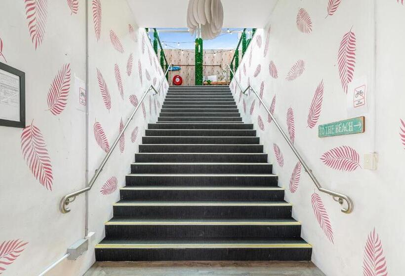 Tequila Sunrise Hostel Surfers Paradise