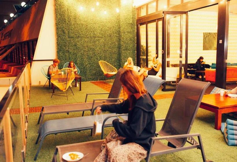 Tequila Sunrise Hostel Surfers Paradise