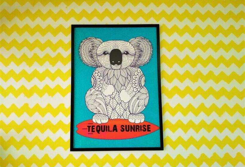 Tequila Sunrise Hostel Surfers Paradise