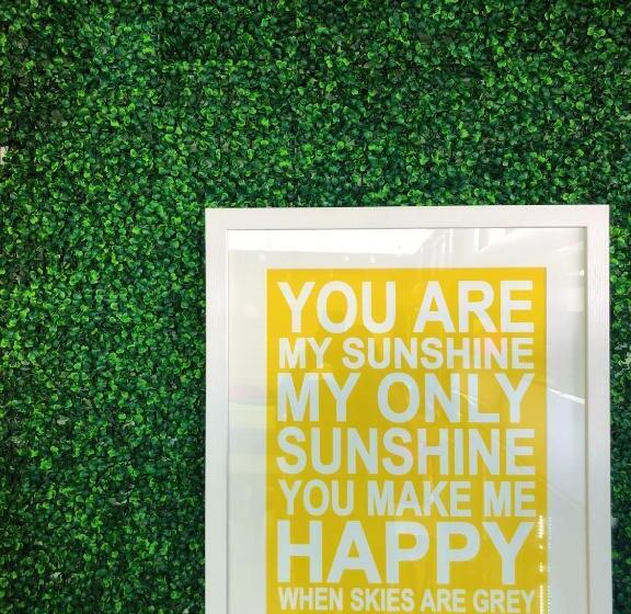 Tequila Sunrise Hostel Surfers Paradise