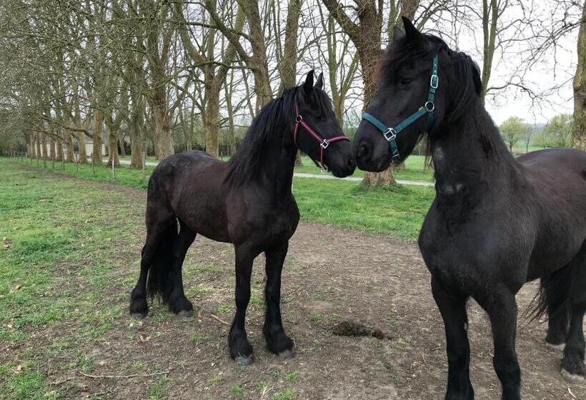 민박 Manoir De Chandoiseau