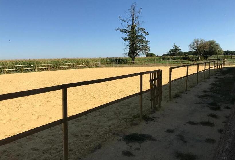 민박 Manoir De Chandoiseau