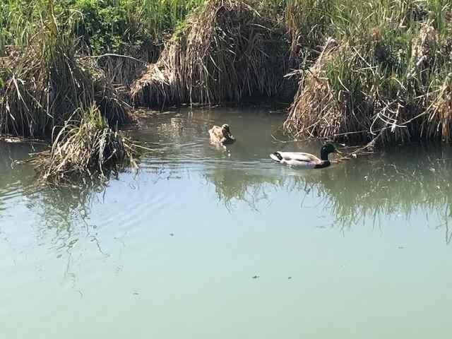 민박 Manoir De Chandoiseau