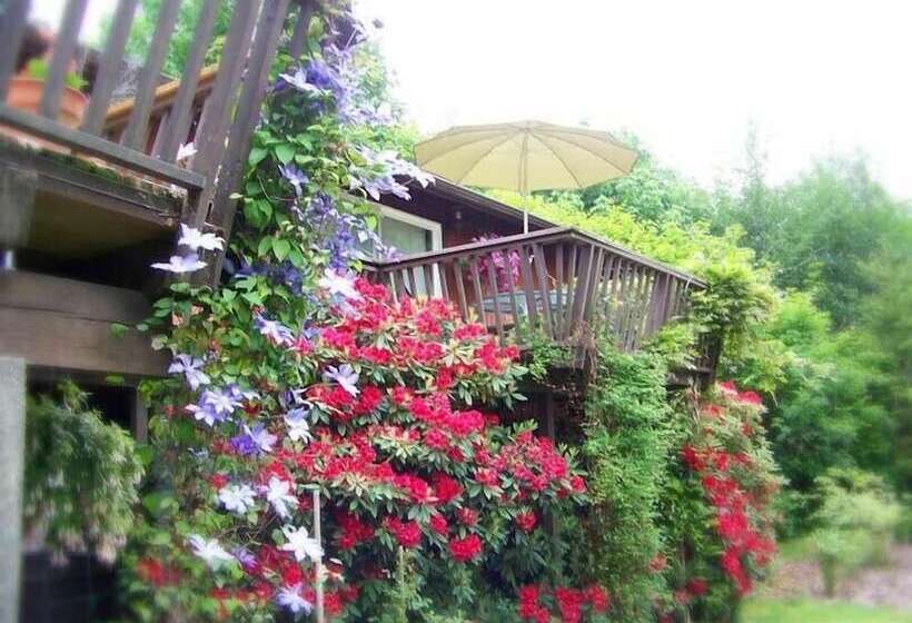 مبيت وإفطار Misty Valley Inn