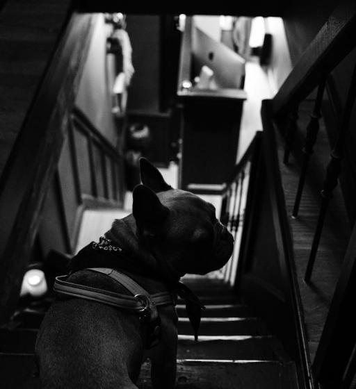 Boutique Hotel & Restaurant Frenchie