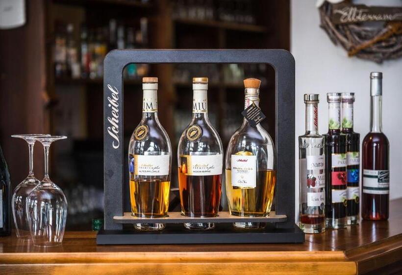 호텔 Elbterrasse Wörlitz